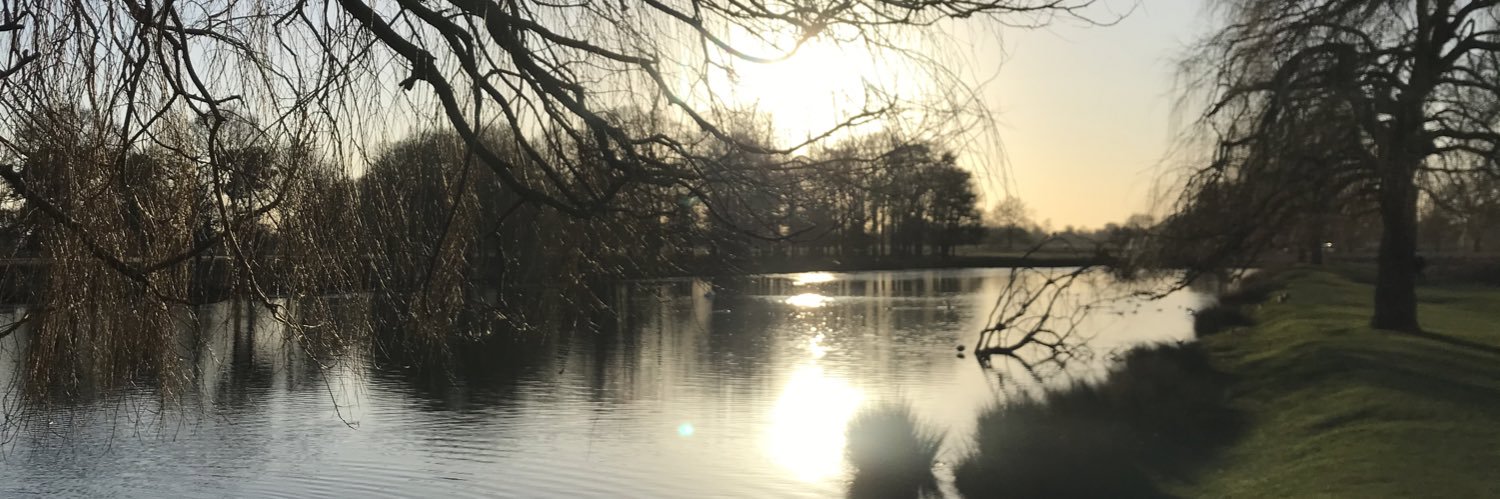 Kaye Rawlings banner