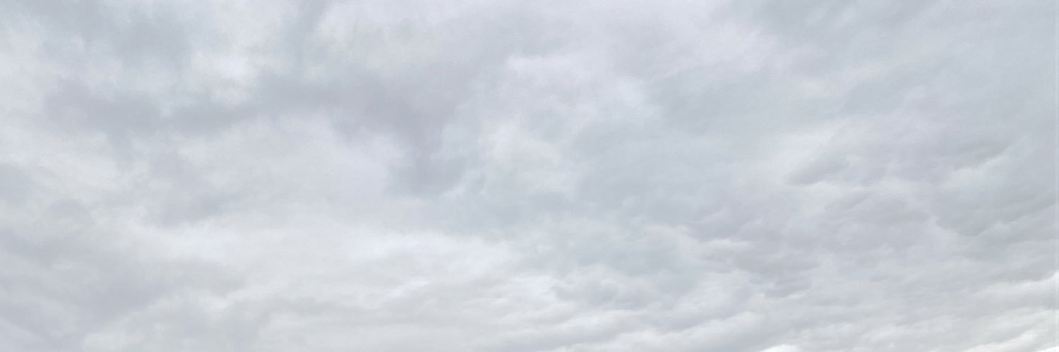 clarahousse's profile banner image