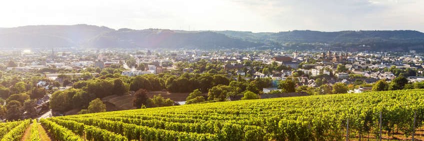 Kristin Shi-Kupfer banner