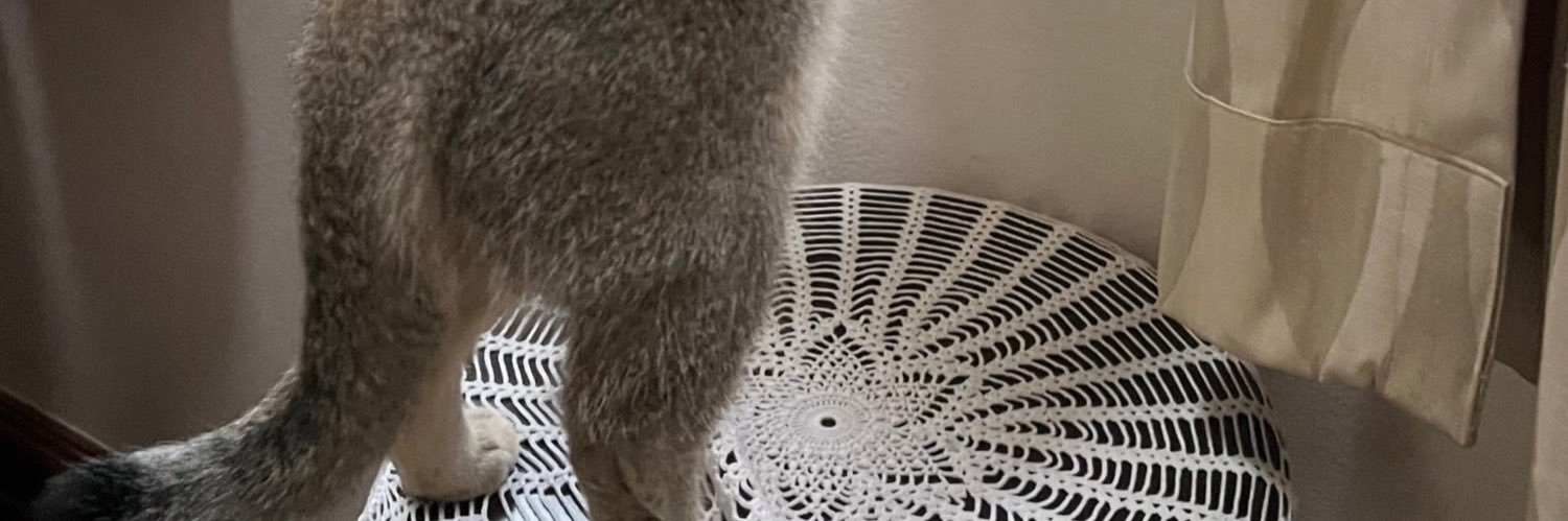 cx0h4_'s profile banner image