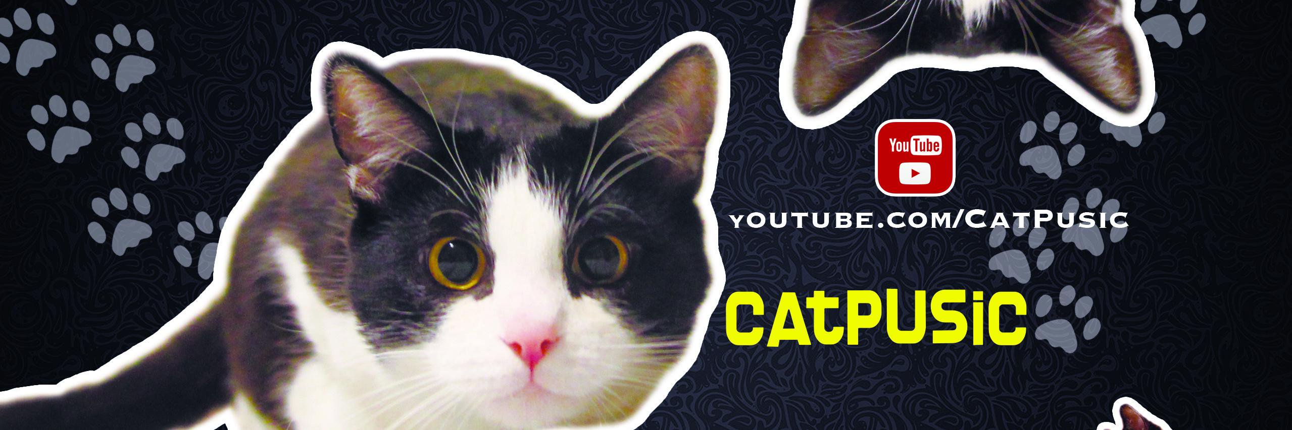 CatPusic's profile banner image
