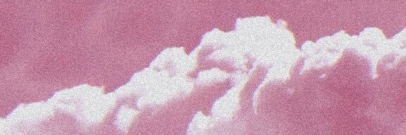 Lala🌷🤍 banner