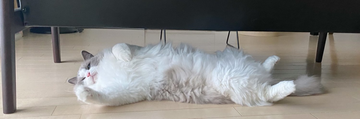 chiro_____'s profile banner image
