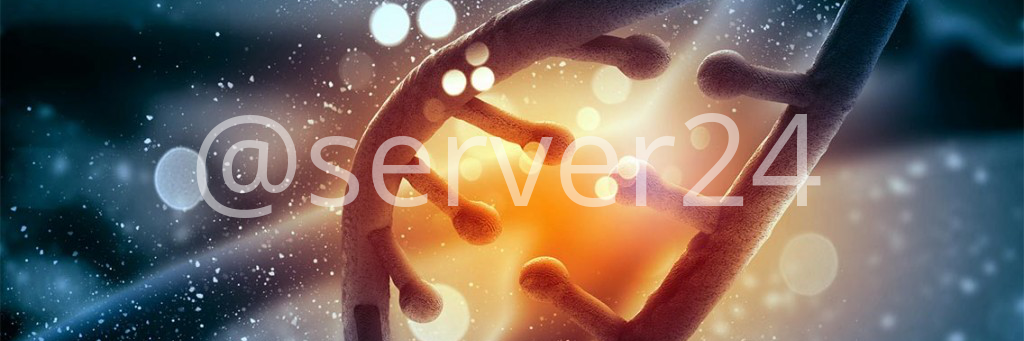 server24it's profile banner image