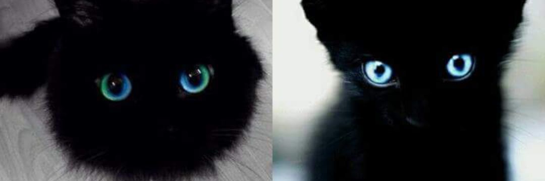 MarielyAline's profile banner image