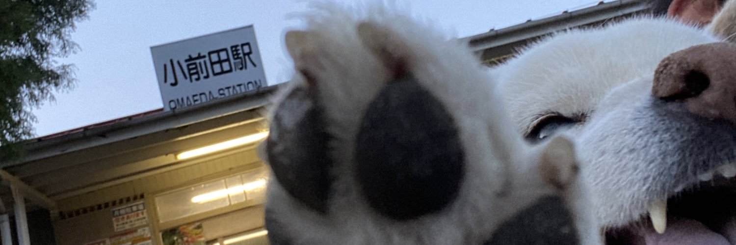 sasisu88's profile banner image