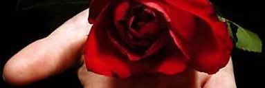 f198019's profile banner image