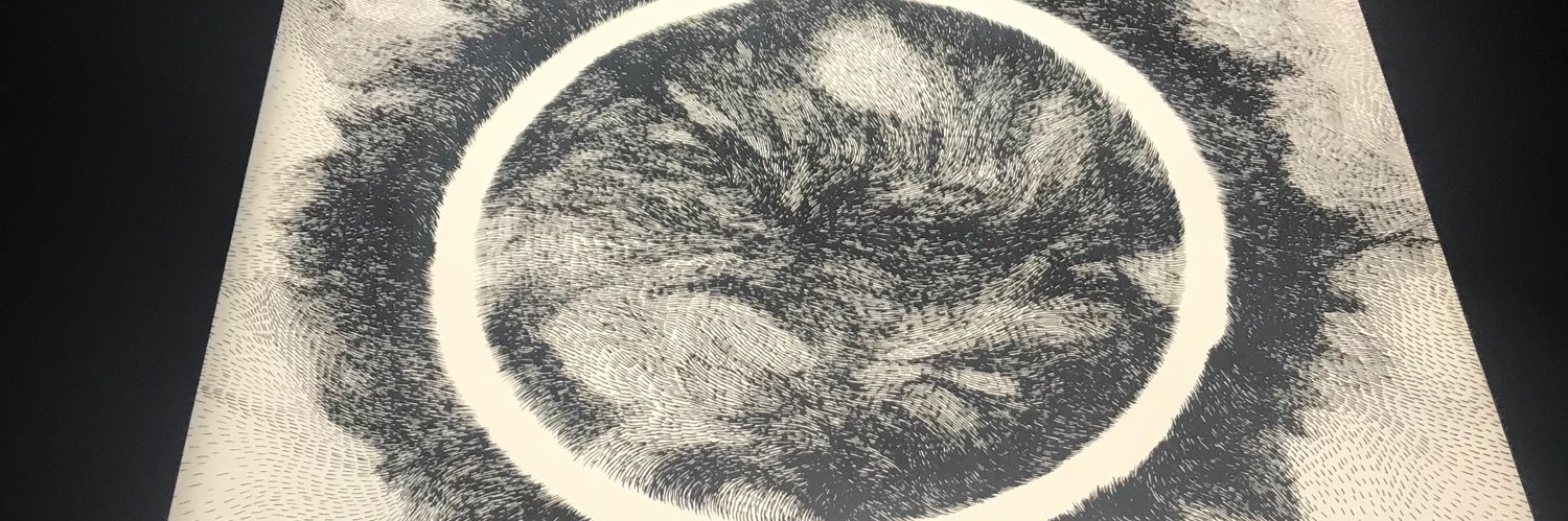 Thierry SIMELIERE banner