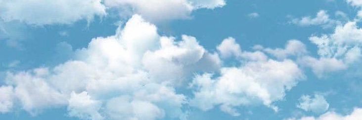 _phxny's profile banner image