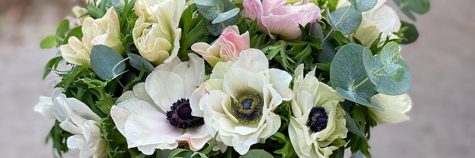 FloVialou's profile banner image