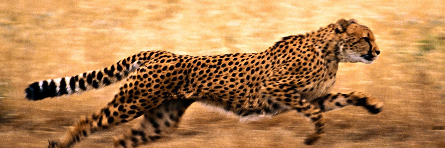 ashutosh84's profile banner image