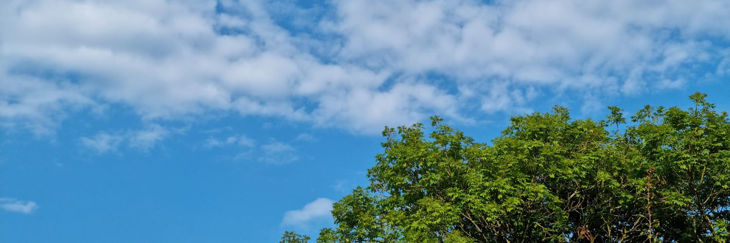 Emma Fraser banner