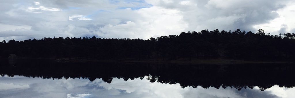 MarioRuiz1802's profile banner image