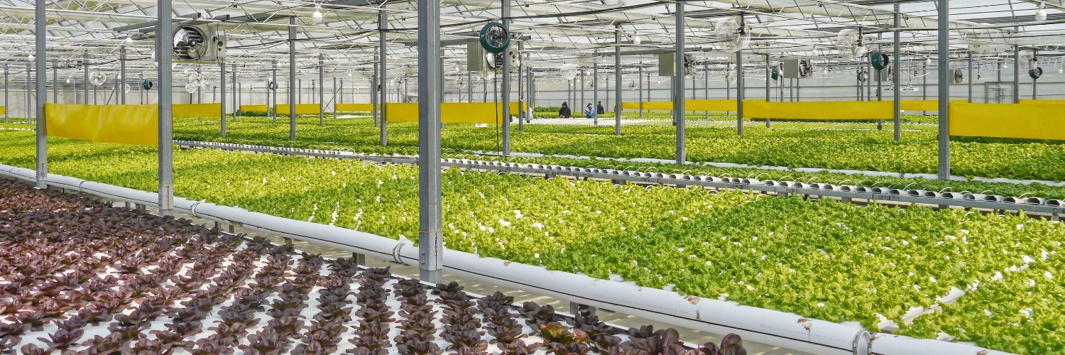 HortiGeneration's profile banner image