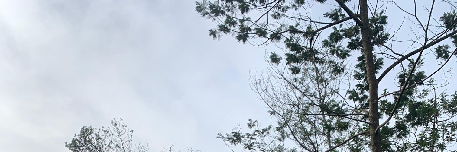 urlvszie's profile banner image