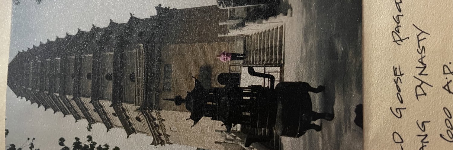taraSBrighton's profile banner image