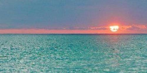 emoreddu's profile banner image