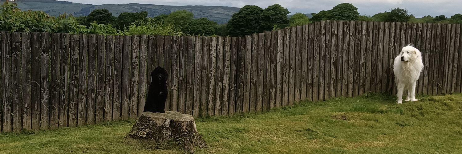 steven_bain's profile banner image
