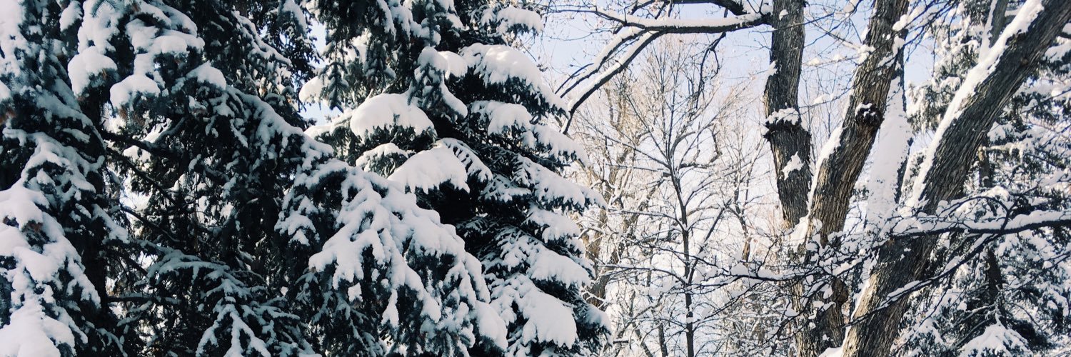 MackenzieLally1's profile banner image