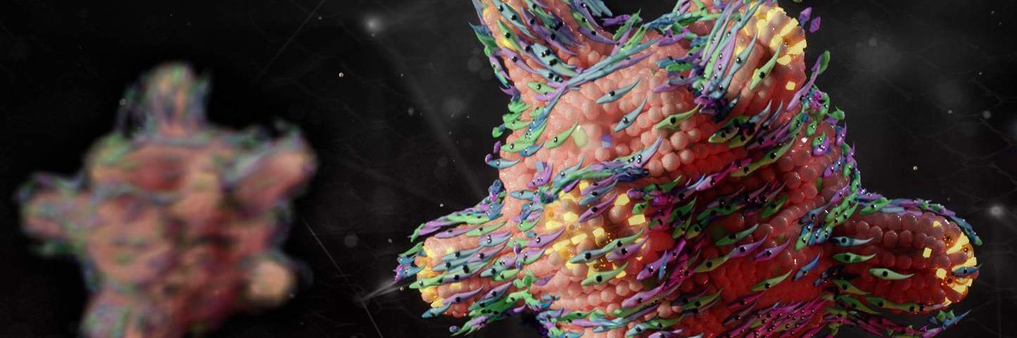 Jeff Cimprich banner