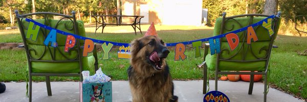 akmgray Profile Banner