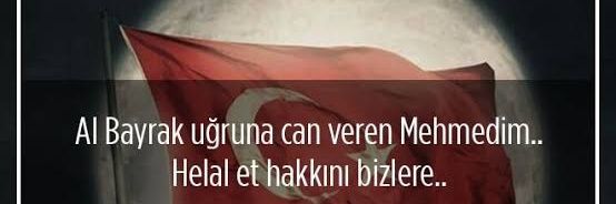 DilekAkaln3's profile banner image