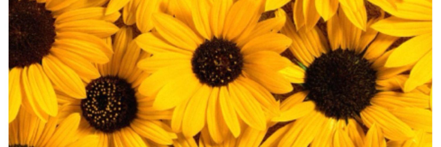 dangvicks's profile banner image