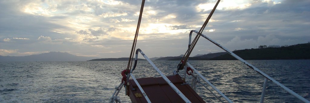 iepinephelus's profile banner image