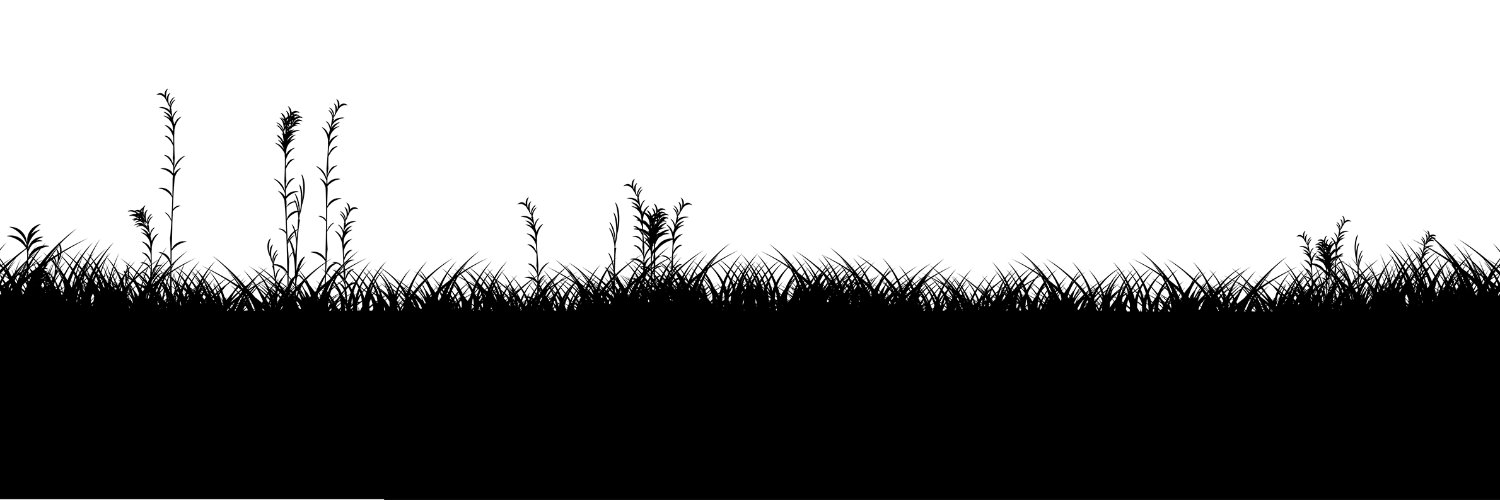 IkigaiRecords's profile banner image