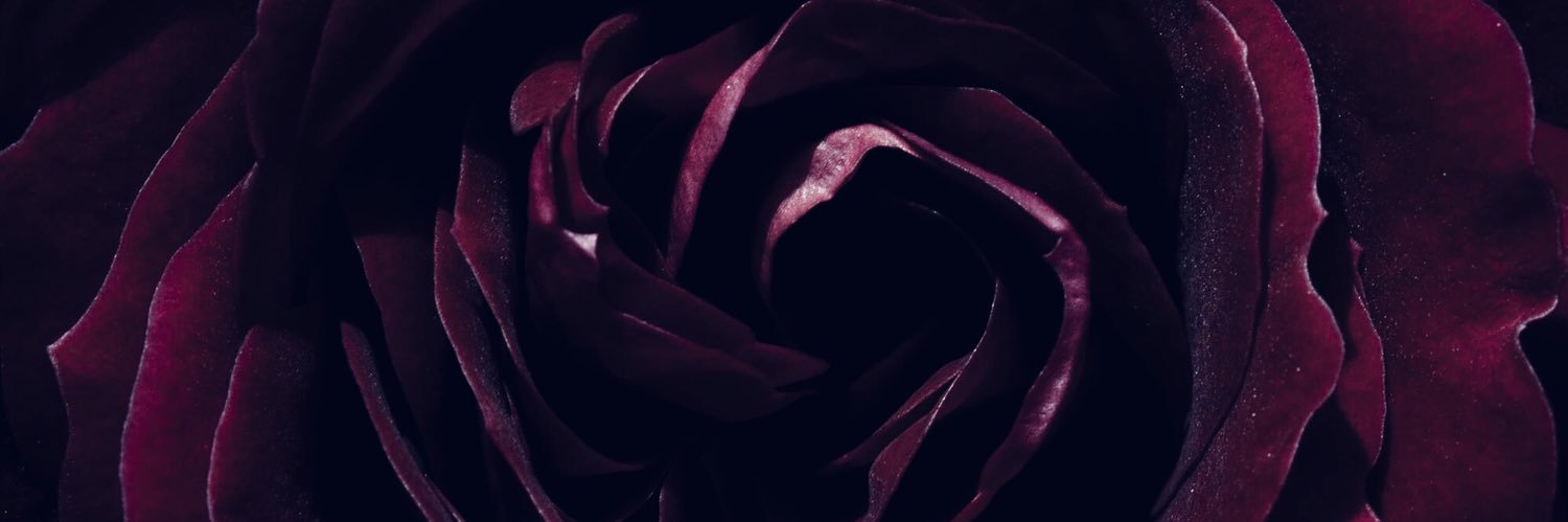 sendlovetoHarry's profile banner image