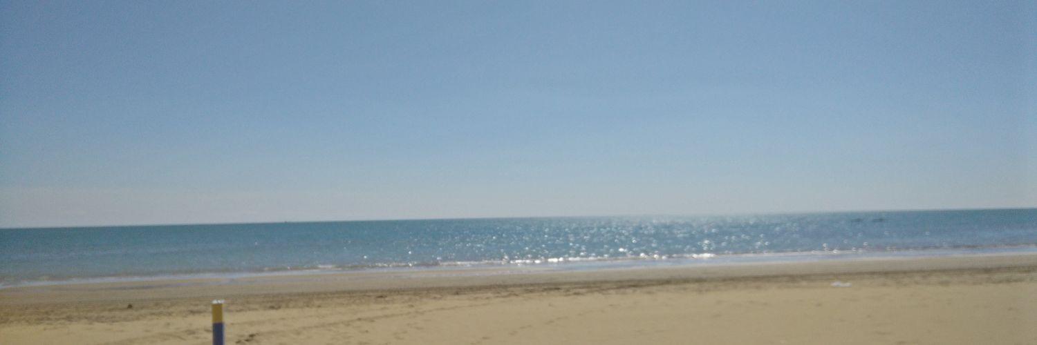 tomche97's profile banner image