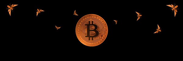 bitcoinbuckeye Profile Banner