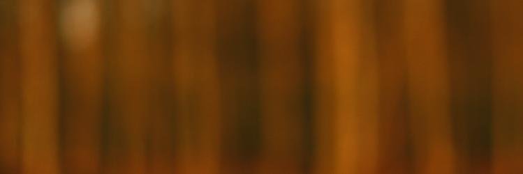 phrotos's profile banner image