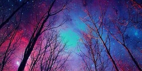 ابومشعل 🇸🇦 banner