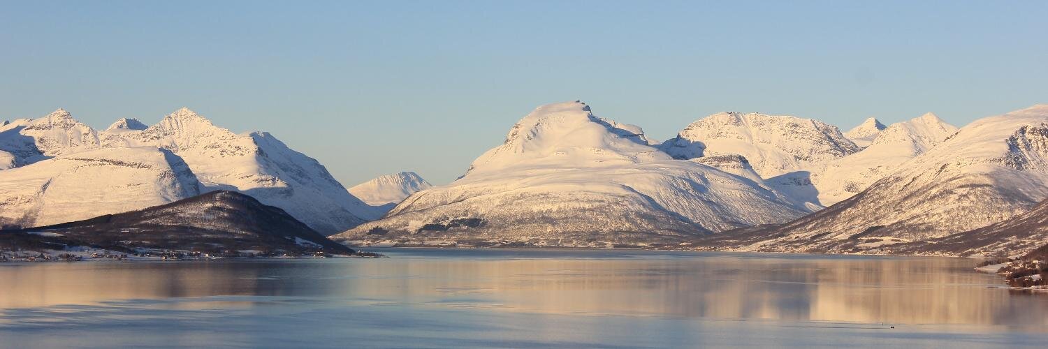 bauck's profile banner image