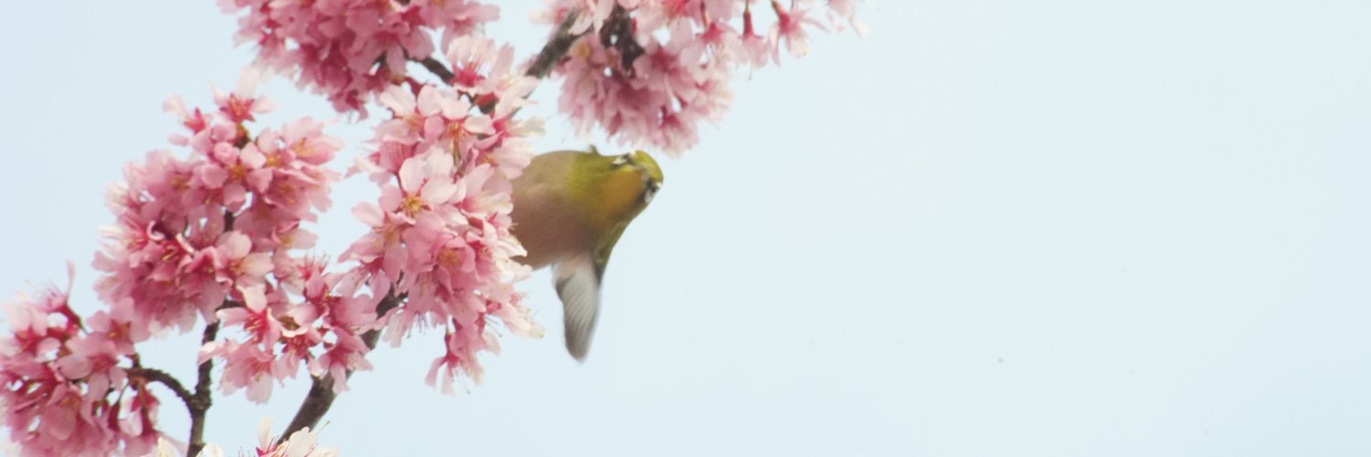 えく banner