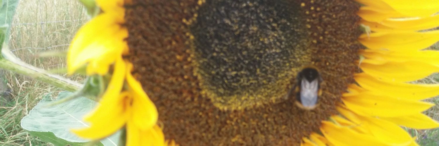 highashes's profile banner image