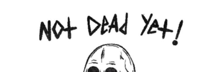 kailynn! banner