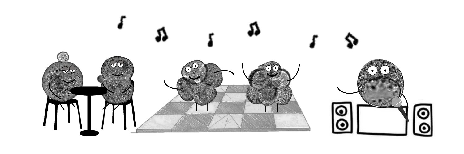 Özge Özgüç's banner