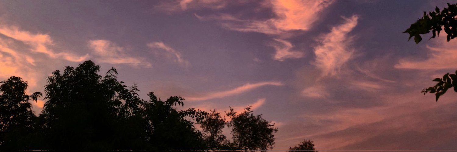 GenesisMichellM's profile banner image