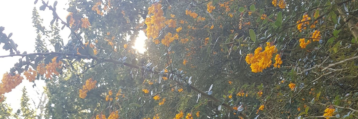thatbethkid's profile banner image