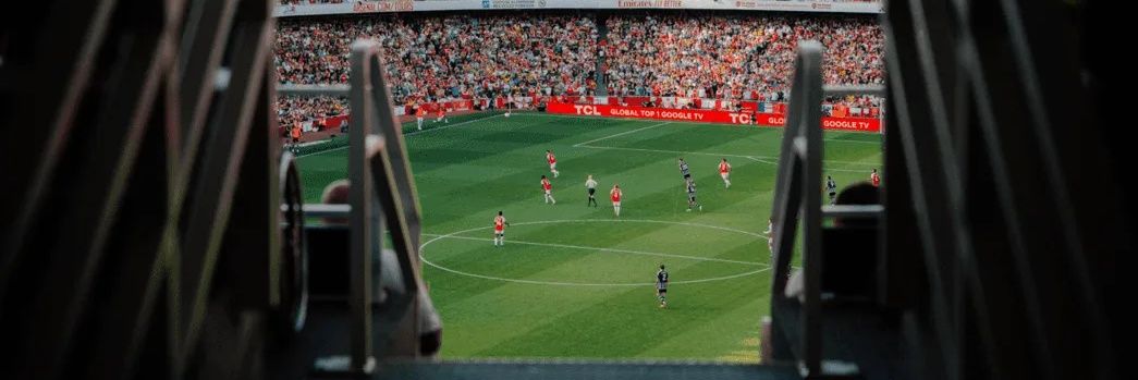 Le Raton Laveur 🍂 🍉 banner