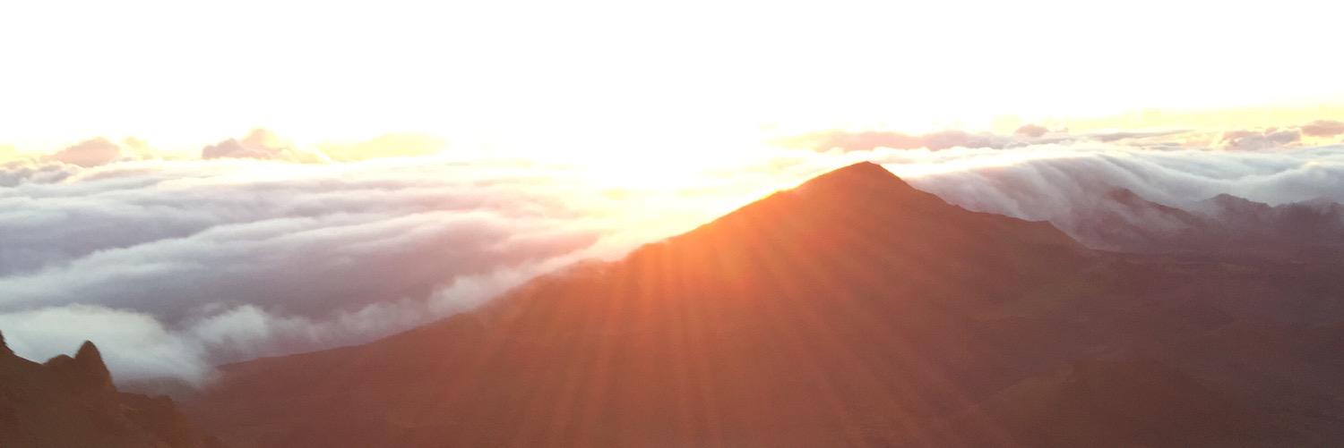 scernuto's profile banner image