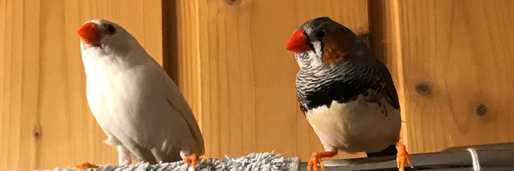 Wotmann_14's profile banner image