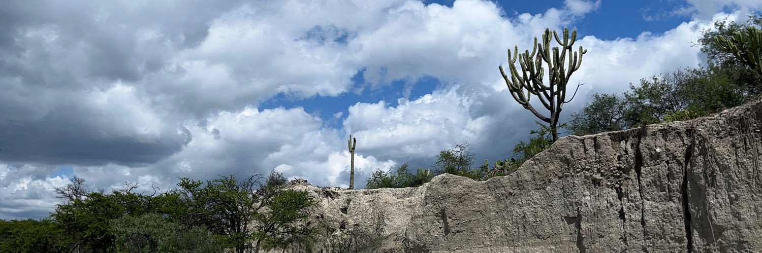 chudulce's profile banner image