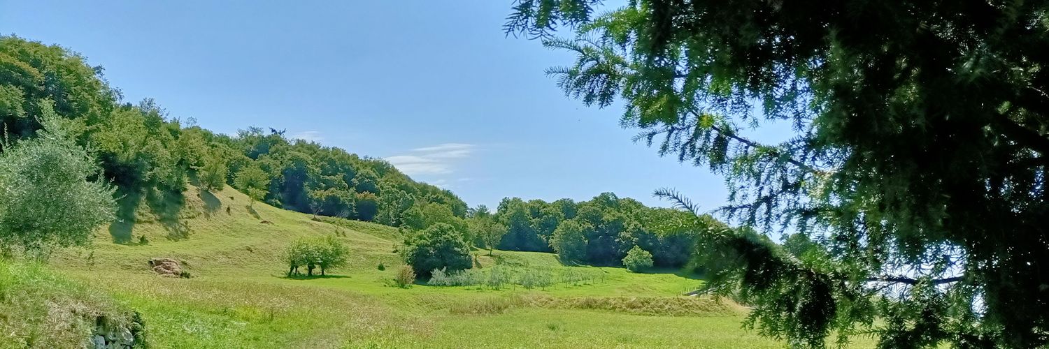 melafrh's profile banner image