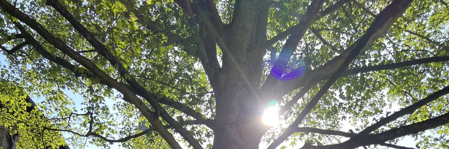 aldobaron's profile banner image