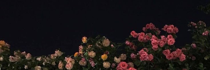 SH8mll's profile banner image