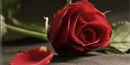 pritynawal's profile banner image
