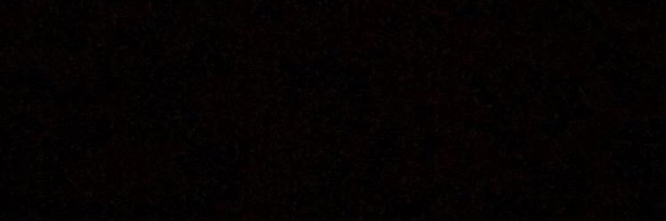STEELERETTES's profile banner image